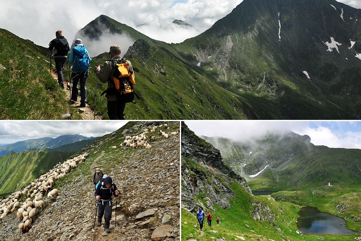 Trekking tours in the Retezat mountains